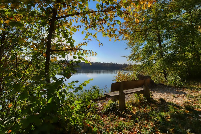 在场上形成 在场上形成