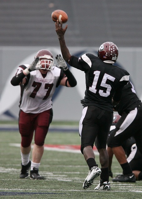 体表现稳步 体表现稳步