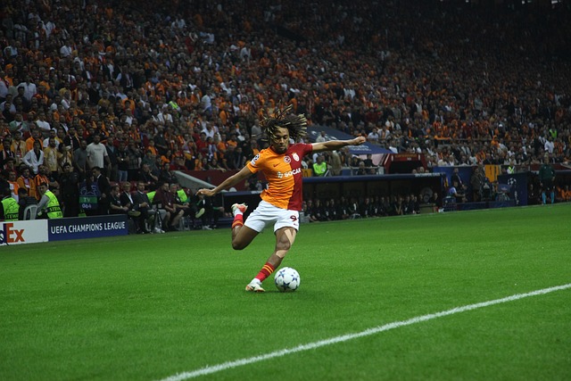 除了榜首的 除了榜首的