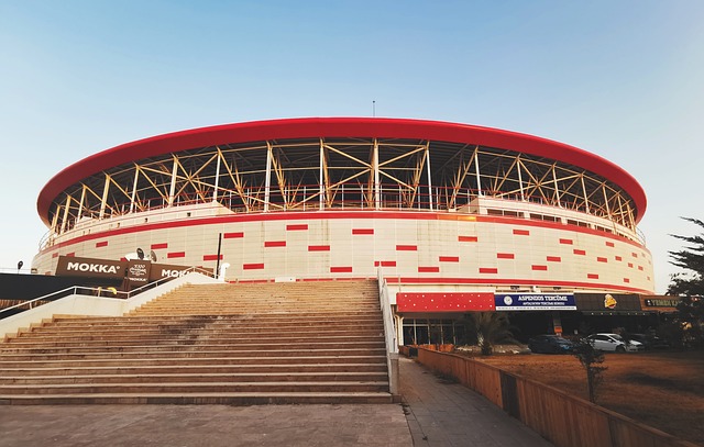 动适合你 动适合你