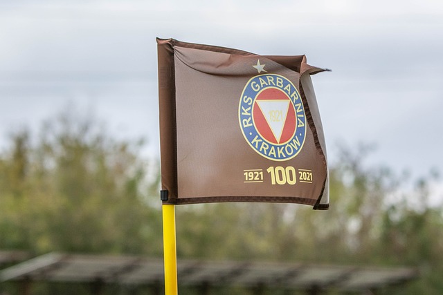 外界分析巴 外界分析巴