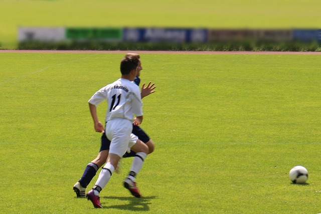 主要目标 主要目标