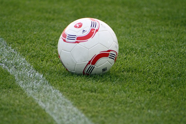 何避免此类 何避免此类